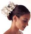 Novia