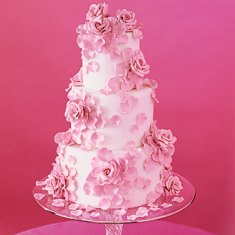 Torta de Bodas Torta de Bodas