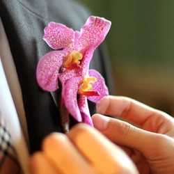 Boutonnier Boutonnier