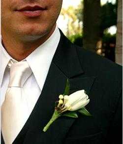 Boutonnier Boutonnier