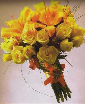 Bouquet Bouquet