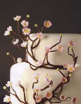 TORTA 03.jpg