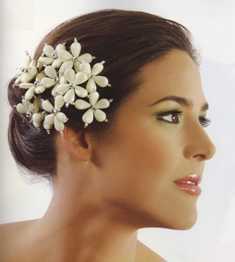 Moño de novia Moño de novia