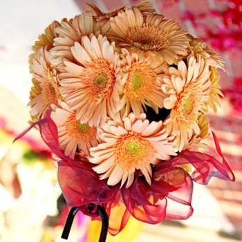 flores flores
