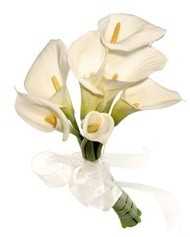 Bouquet de novia Bouquet de novia