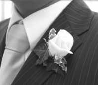Novio
