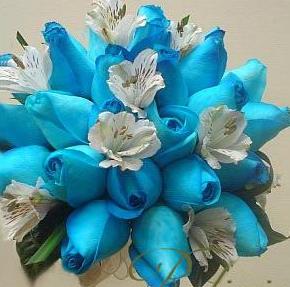 Bouquet Mónica Goytendia