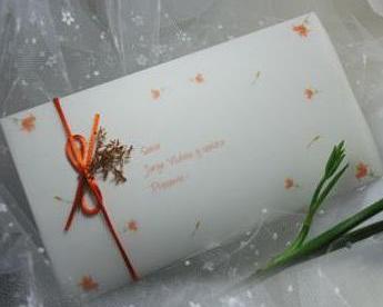 Invitación - Parte de Matrimonio Punto Celeste
