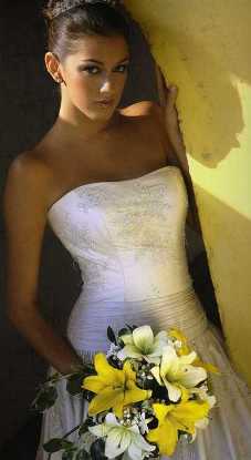 Vestido de Novia Bridal Collection Vestido de Novia Bridal Collection