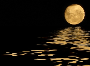 Luna de Miel Luna de Miel