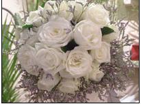 ROSAS BLANCAS Y LIMONIUM