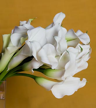 callas_blancas.jpg