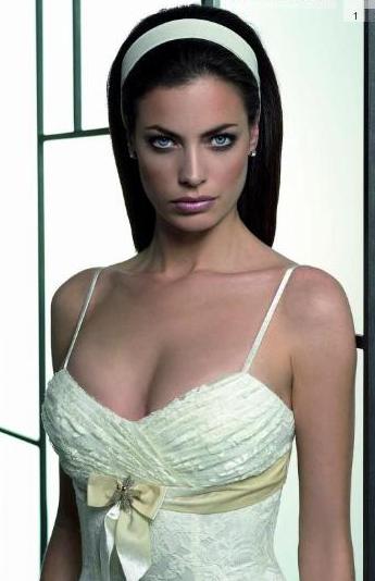 vestido_de_novia_2009_5.jpg
