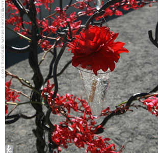 boda_de_rojo boda_de_rojo