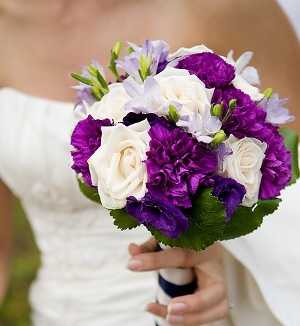morado1 morado1