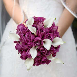 morado2 morado2