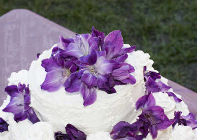torta5 torta5